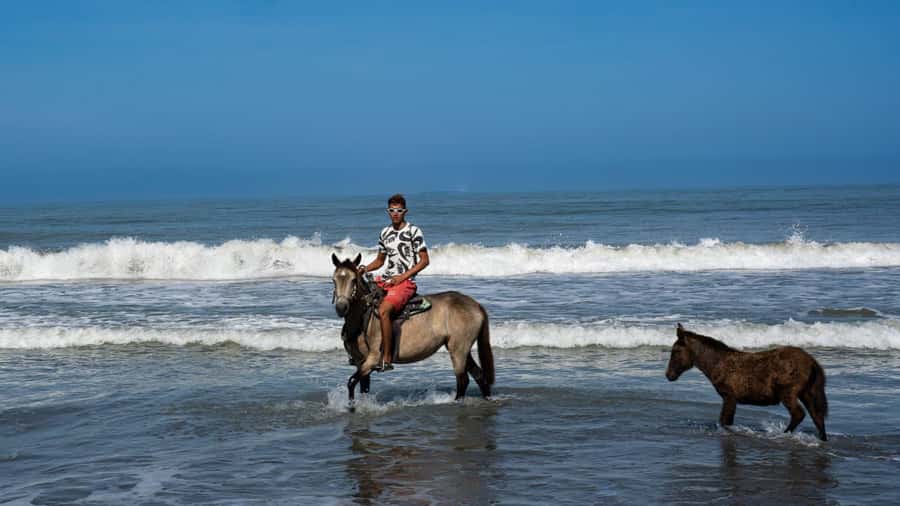 HORSE TOUR IN CARTAGENA BEACH - What the guide service is like