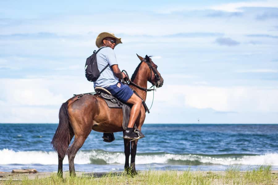 HORSE TOUR IN CARTAGENA BEACH - One hour beside the Caribbean