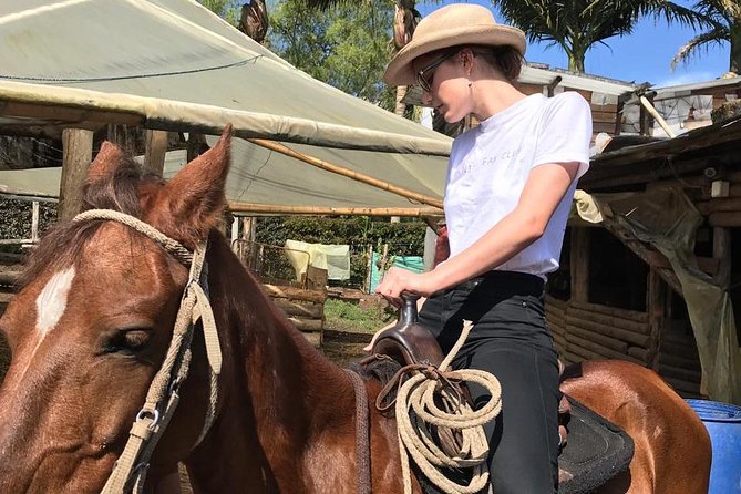 Horseback Riding Adventure from Medellin - Is $137.75 a fair price?