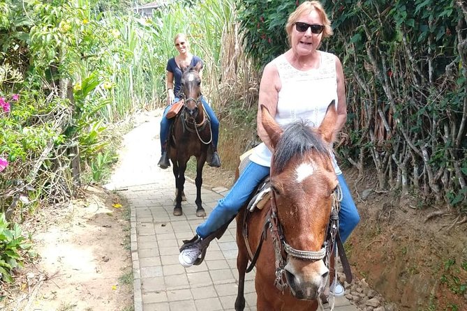 Horseback Riding Adventure from Medellin - Who will enjoy this most?