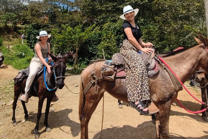 Horseback Riding Adventure from Medellin - On the trail: streams, rocks, and possible road sections