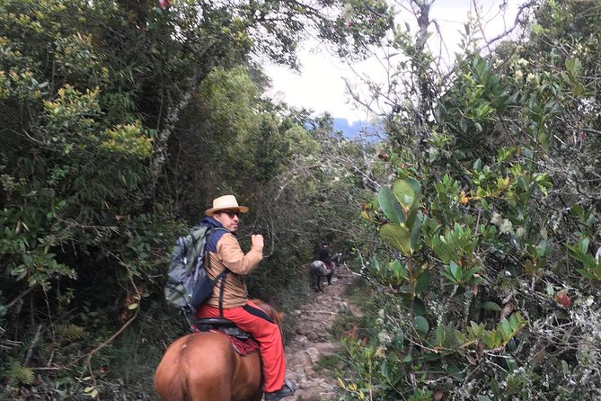 Horseback Riding from Guadalupe to Monserrate Private Day-Tour - Who Will Enjoy This Ride Most