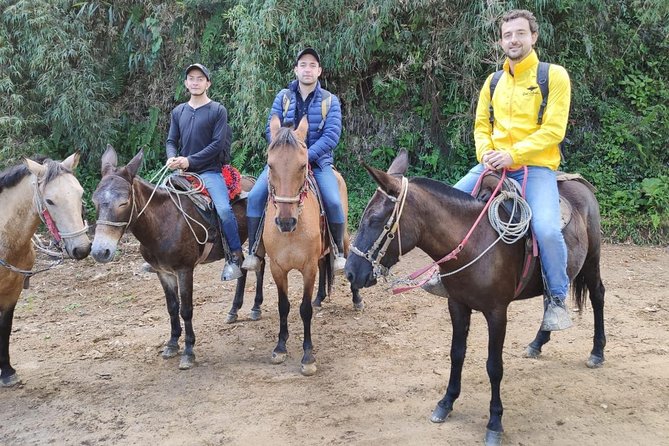 Horseback Riding from Guadalupe to Monserrate Private Day-Tour - History Told Along the Way
