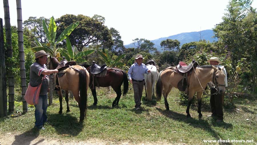 Horseback Riding Tour and visit to Tablón, Chaquira, Pelota - Key points to know before booking
