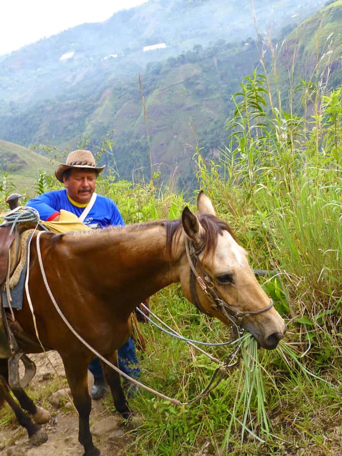 Horseback Riding Tour and visit to Tablón, Chaquira, Pelota - Why horseback riding suits San Agustín