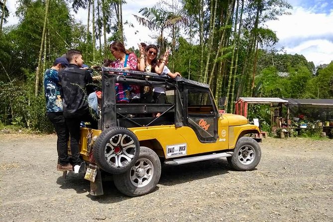 Howler Monkey Tour On The Barba Reserve - Bremen Of Philandia - Three hours and four kilometers in the trees