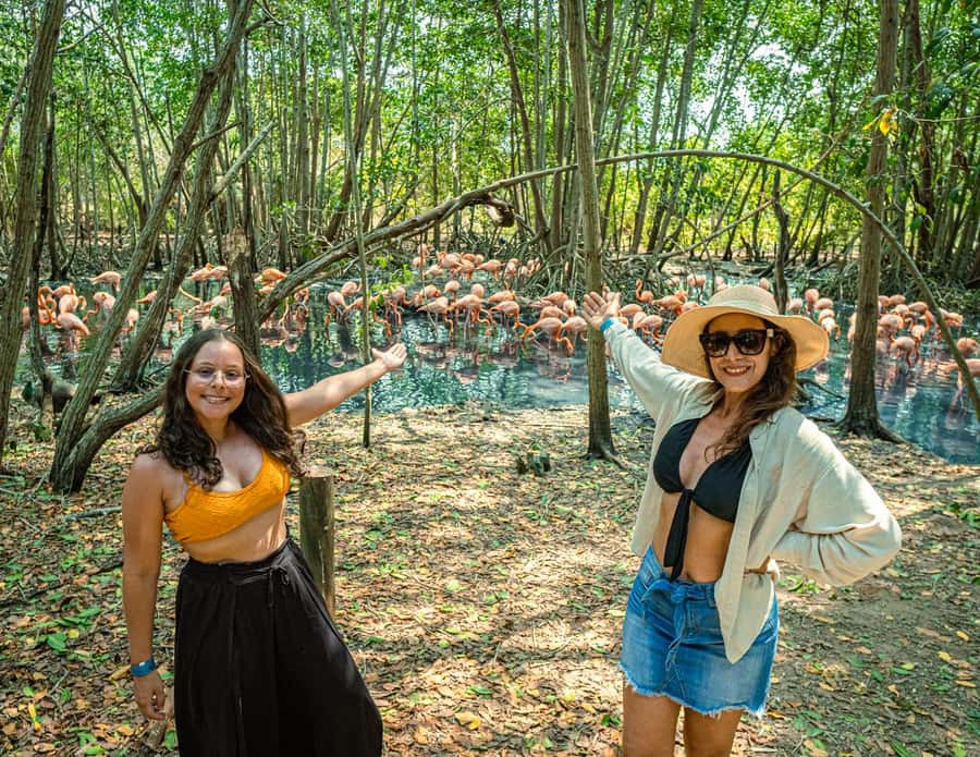 Isla Barú: Beach Club Access and Tour of the National Aviary - Why the aviary makes this more than a beach transfer