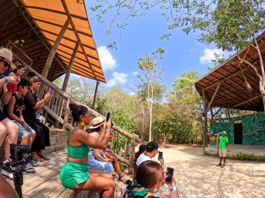 Isla Barú: Beach Club Access and Tour of the National Aviary - The National Aviary’s 22 exhibits