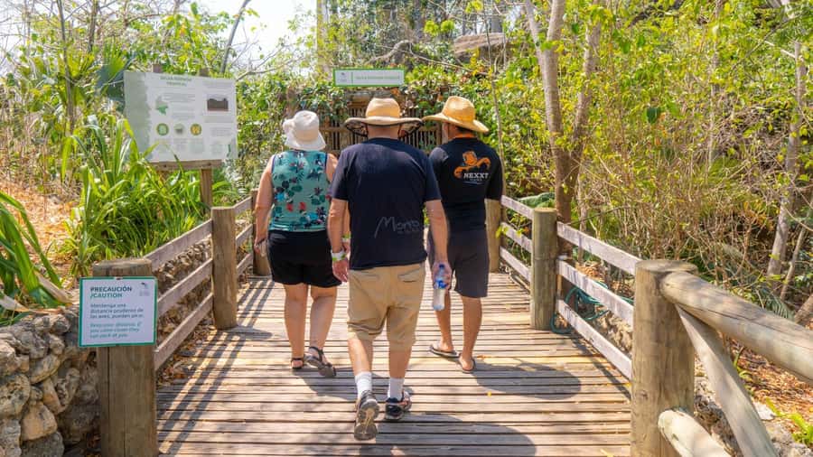 Isla Barú: Beach Club Access and Tour of the National Aviary - Timing, comfort, and what to bring