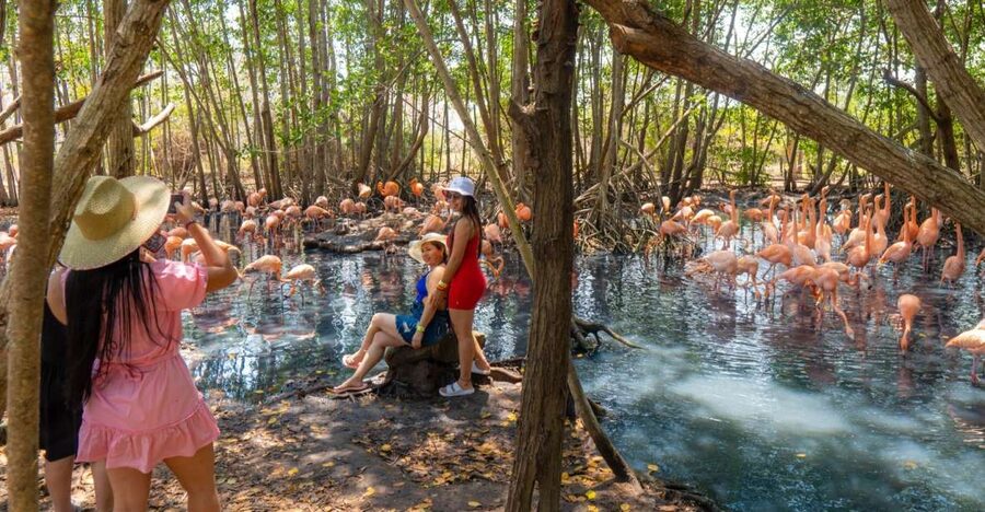 Isla Barú: Beach Club Access and Tour of the National Aviary - Who will enjoy this Barú day trip most