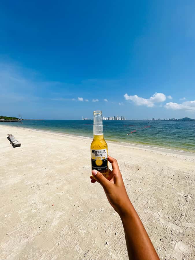 Isla Tierra Bomba beach club: Day Pass with typical food - Who will enjoy this Tierra Bomba day