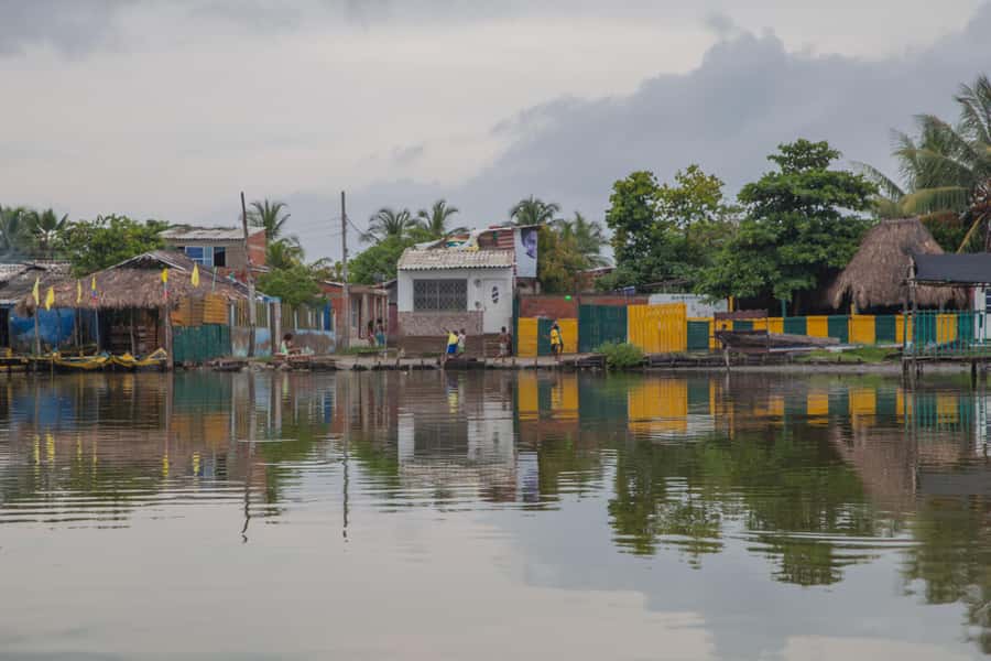 La Boquilla: 3-Hour Canoe Tour through the Mangroves - Coconut Water and the End of the Visit