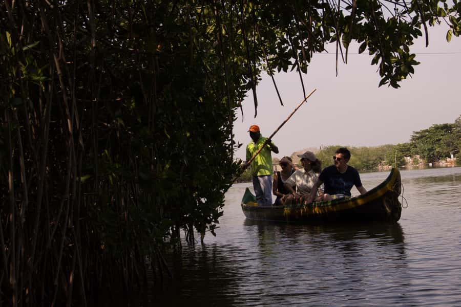 La Boquilla: 3-Hour Canoe Tour through the Mangroves - What Your Guide Adds to the Ride