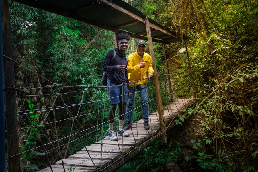 La Chorrera and Chiflon Waterfalls Private Hike Tour - Cloud forest, plants, and a difficult local past