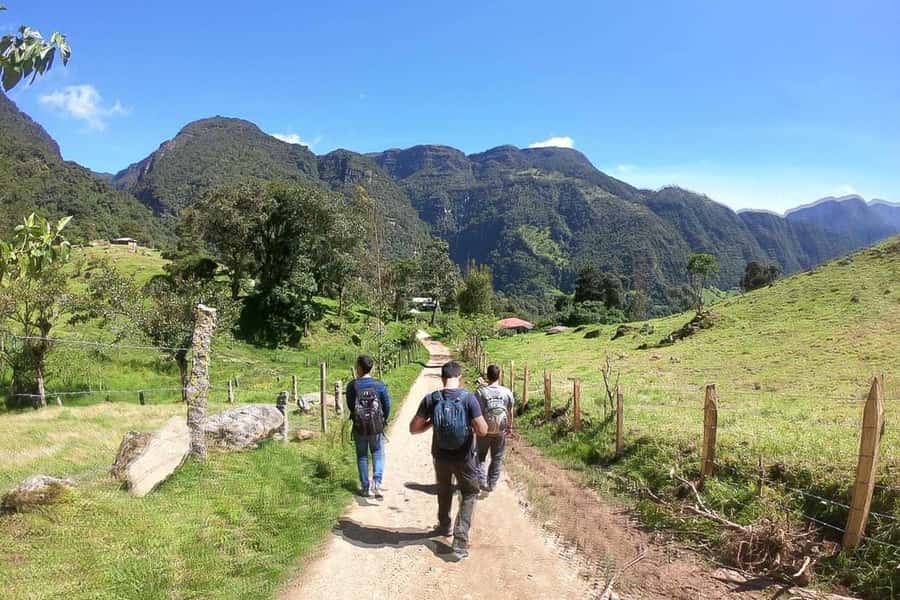 La Chorrera and Chiflon Waterfalls Private Hike Tour - Guides, languages, and the private format