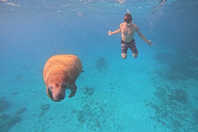Let's snorkel Hol Chan the Best Marine Reserve in Belize - Key points before you book