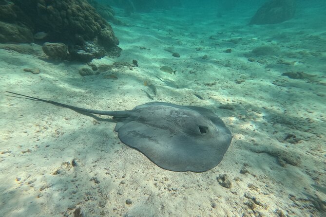 Let's snorkel Hol Chan the Best Marine Reserve in Belize - Hol Chan Channel: the most guided snorkel