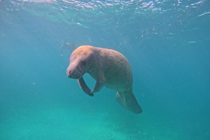 Let's snorkel Hol Chan the Best Marine Reserve in Belize - What lunch and the included drinks add to the value
