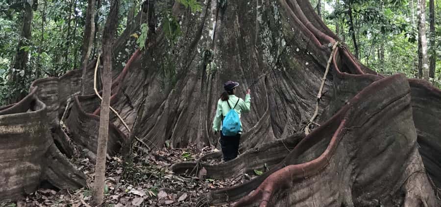 Leticia: Amazing Three Day Jungle Tours - The Tarantula Night Safari after dark