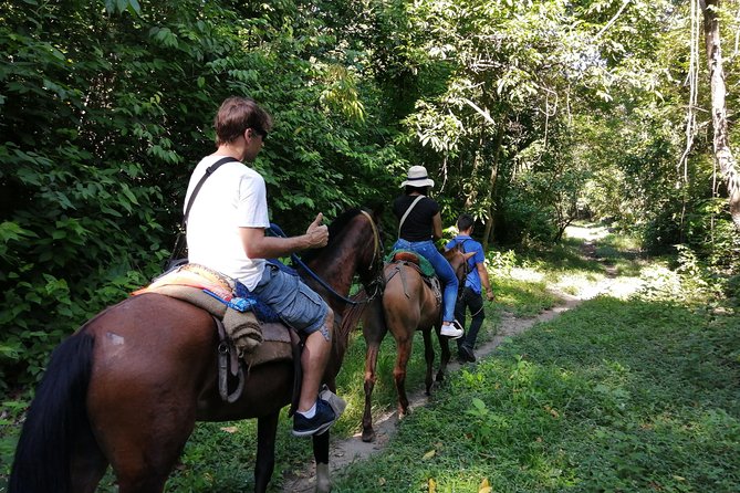 Los Naranjos Beach Horseback Riding Tayrona Park. - Cancellation and weather details