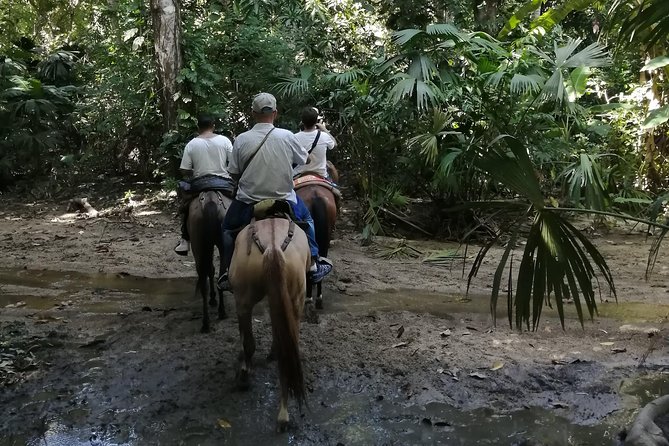 Los Naranjos Beach Horseback Riding Tayrona Park. - Riding where the river meets the sea