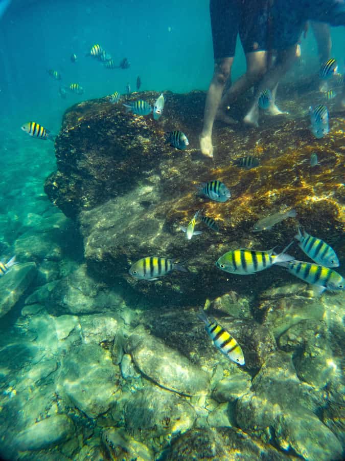 Magdalena: Tayrona Park Cruise with Snorkeling & Beaches - Granate is the main snorkeling bet