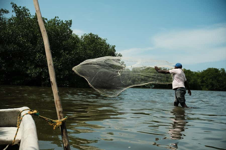 Mangroves, cultural fishing, black heritage town and lunch - Meeting in Crespo and heading toward the water