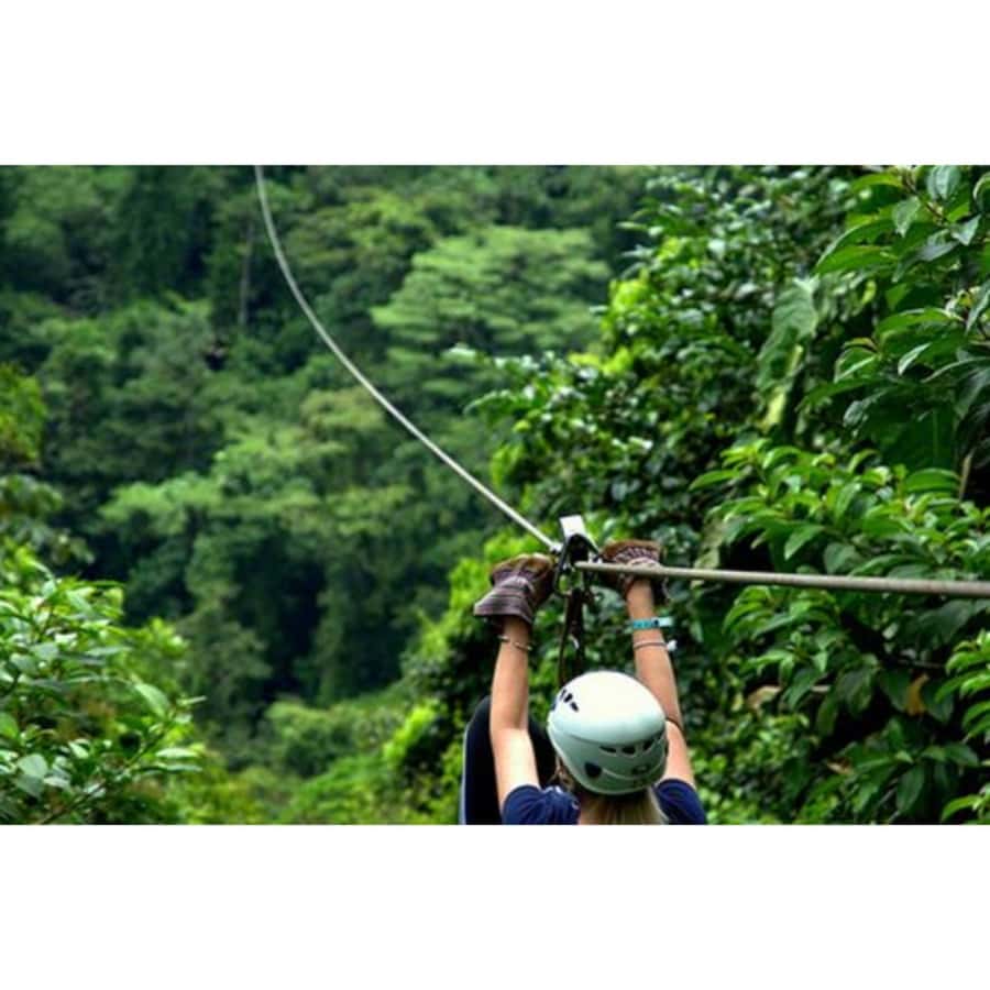 Medellin: 4-Hour Zip-Line Adventure - The Ride From Medellin to La Ceja