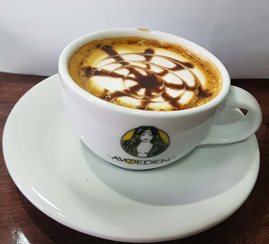 Medellin: Avoeden Café Coffee Brewing Workshop - A personal class with Lina