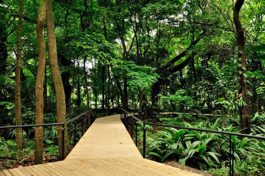 Medellín: Botanical Garden and Arvi Park City Tour - Two very different sides of Medellín in one morning