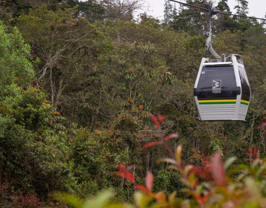 Medellín: Botanical Garden and Arvi Park City Tour - Why the Botanical Garden closure policy matters