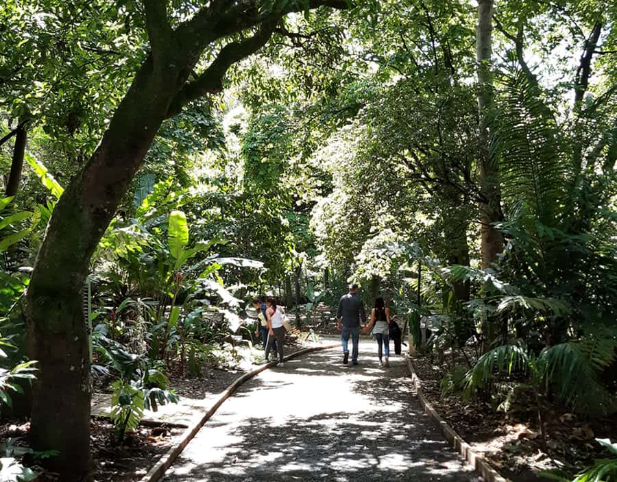 Medellín: Botanical Garden and Arvi Park City Tour - Guides, language, and the private-group advantage