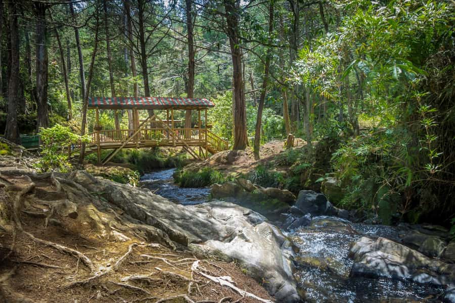 Medellín: Botanical Garden and Arvi Park City Tour - Starting near Antioquia University and the Botanical Garden