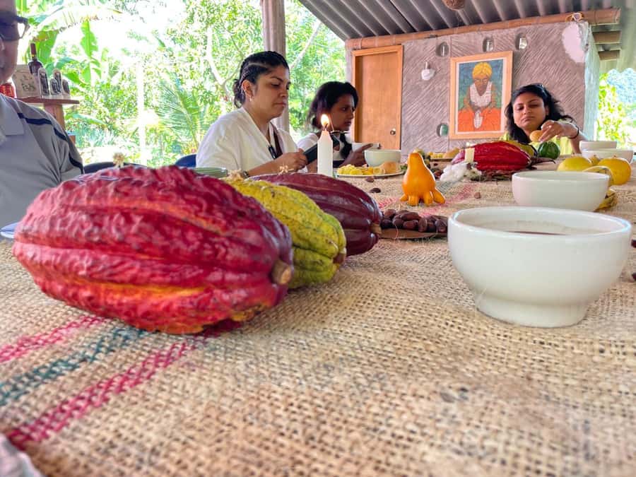 Medellín: Chocolate Tour & Exfoliation in beautiful river - Key points at a glance