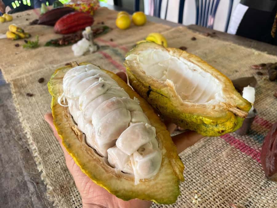 Medellín: Chocolate Tour & Exfoliation in beautiful river - Cooling off at the river and waterfall
