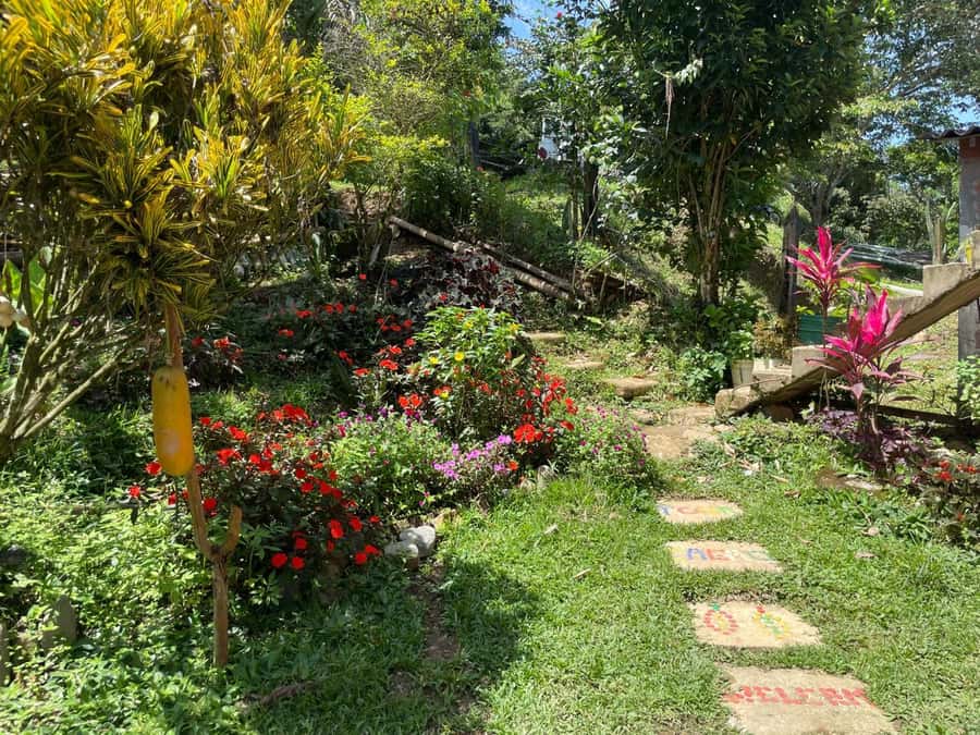 Medellín: Chocolate Tour & Exfoliation in beautiful river - Who will enjoy this day most