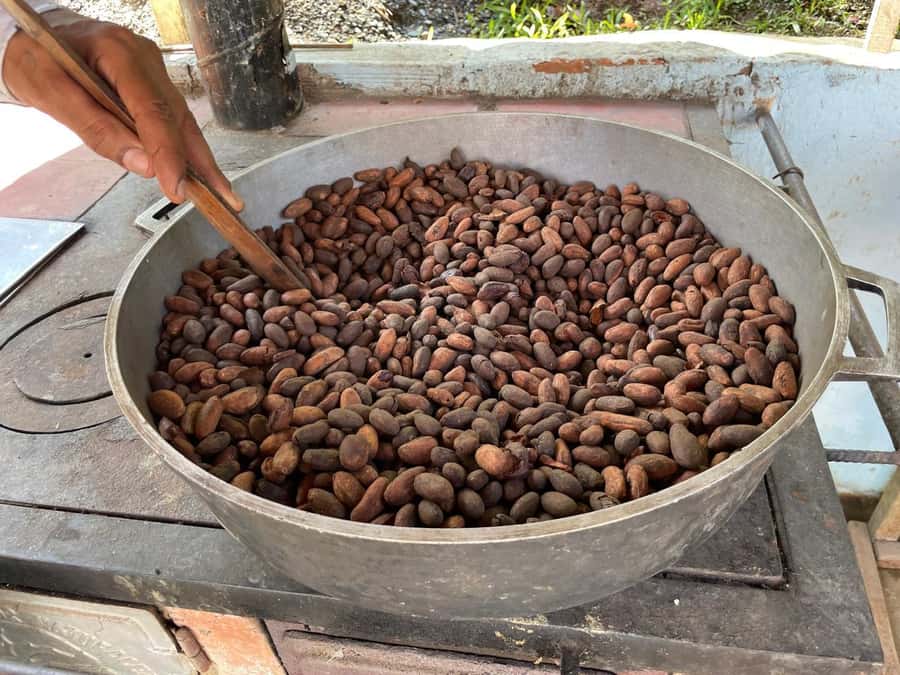 Medellín: Chocolate Tour & Exfoliation in beautiful river - At the family cacao farm near San Francisco