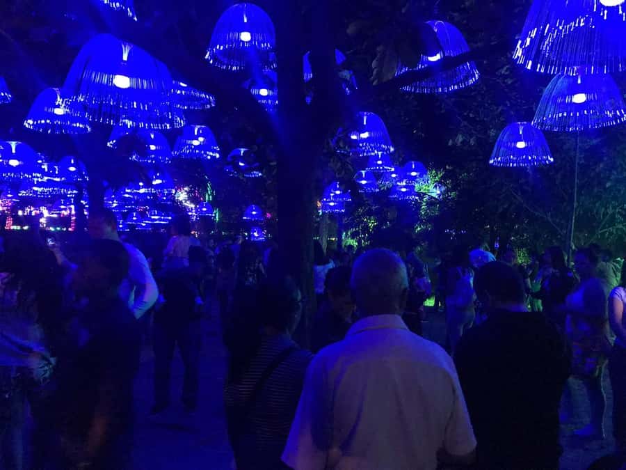 Medellin Christmas Lights Tour - Practical ways to get more from the four hours