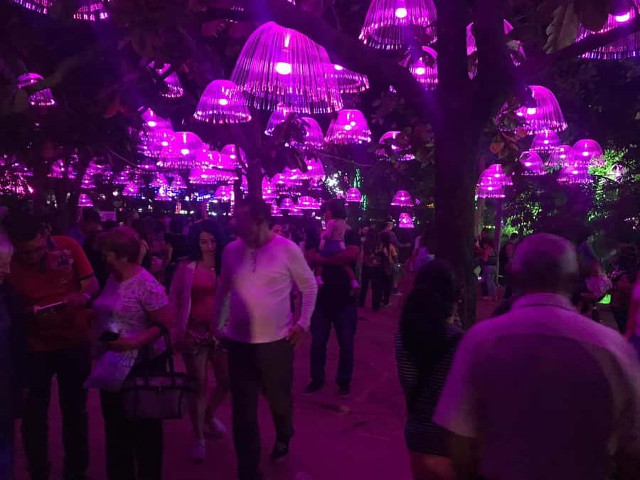 Medellin Christmas Lights Tour - The Medellin River Parks stop