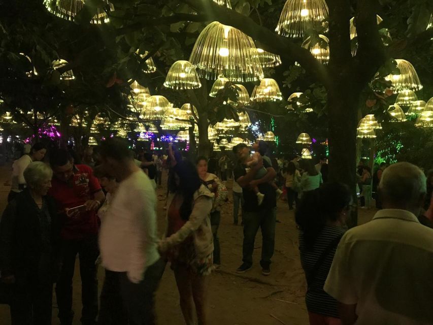 Medellin Christmas Lights Tour - What the guide adds to the evening