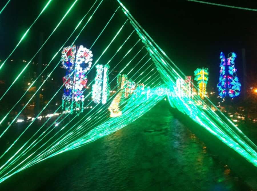 Medellin Christmas Lights Tour - Is $60 per person a fair price?