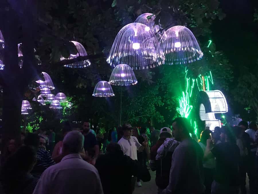 Medellin Christmas Lights Tour - Timing, comfort, and what to bring
