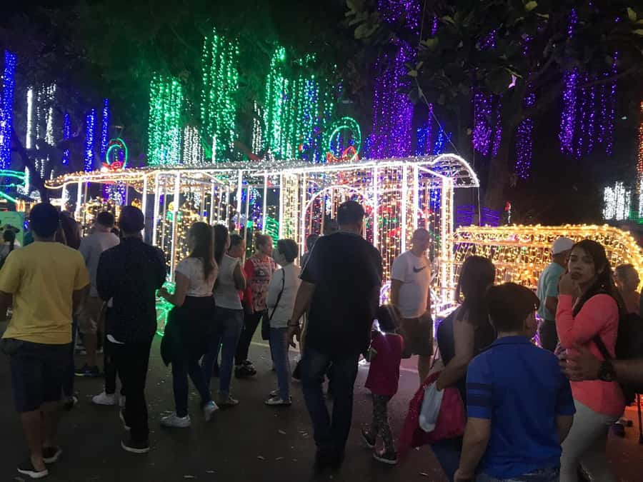 Medellin Christmas Lights Tour - Starting from El Poblado in a private car