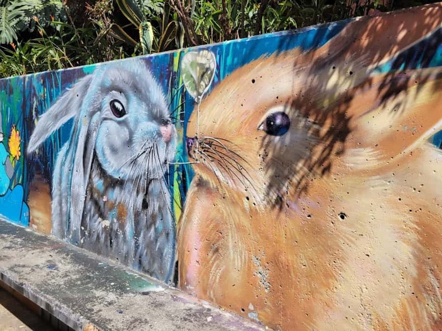 MEDELLIN: CITY TOUR MEDELLIN + GRAFFITOUR COMUNA 13 - Is $50 a fair price?