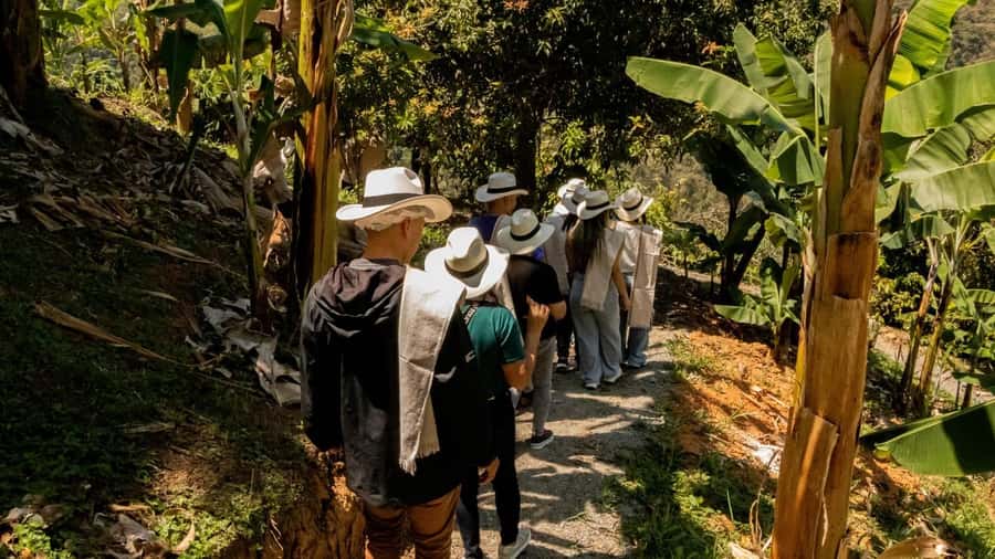 Medellin: Coffee and fruit tour - Agrotur El Llano and the imposing hand