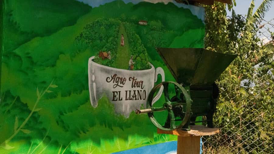 Medellin: Coffee and fruit tour - The people make the farm visit work