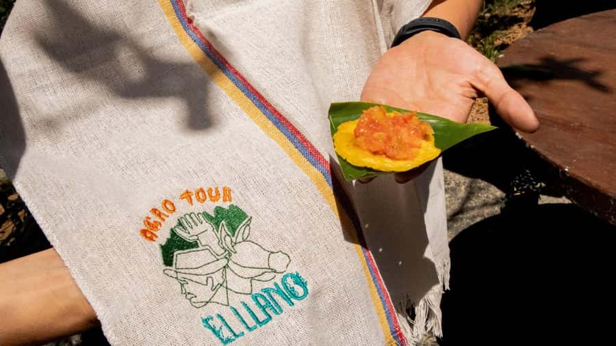 Medellin: Coffee and fruit tour - What the transportation adds, and what it does not