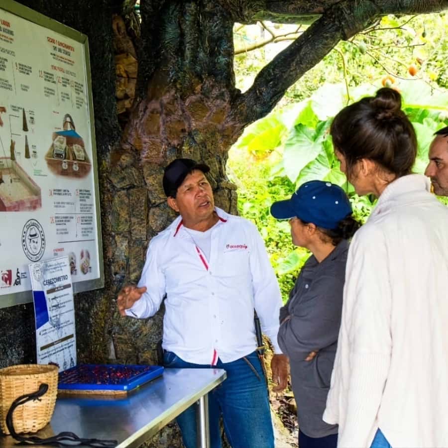 Medellin: Coffee Farm and Barista Workshop Experience - Why the small group matters