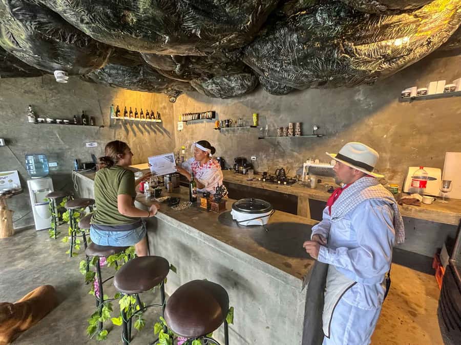 Medellin: Coffee Farm and Barista Workshop Experience - Should you book the Don Leandro coffee workshop?
