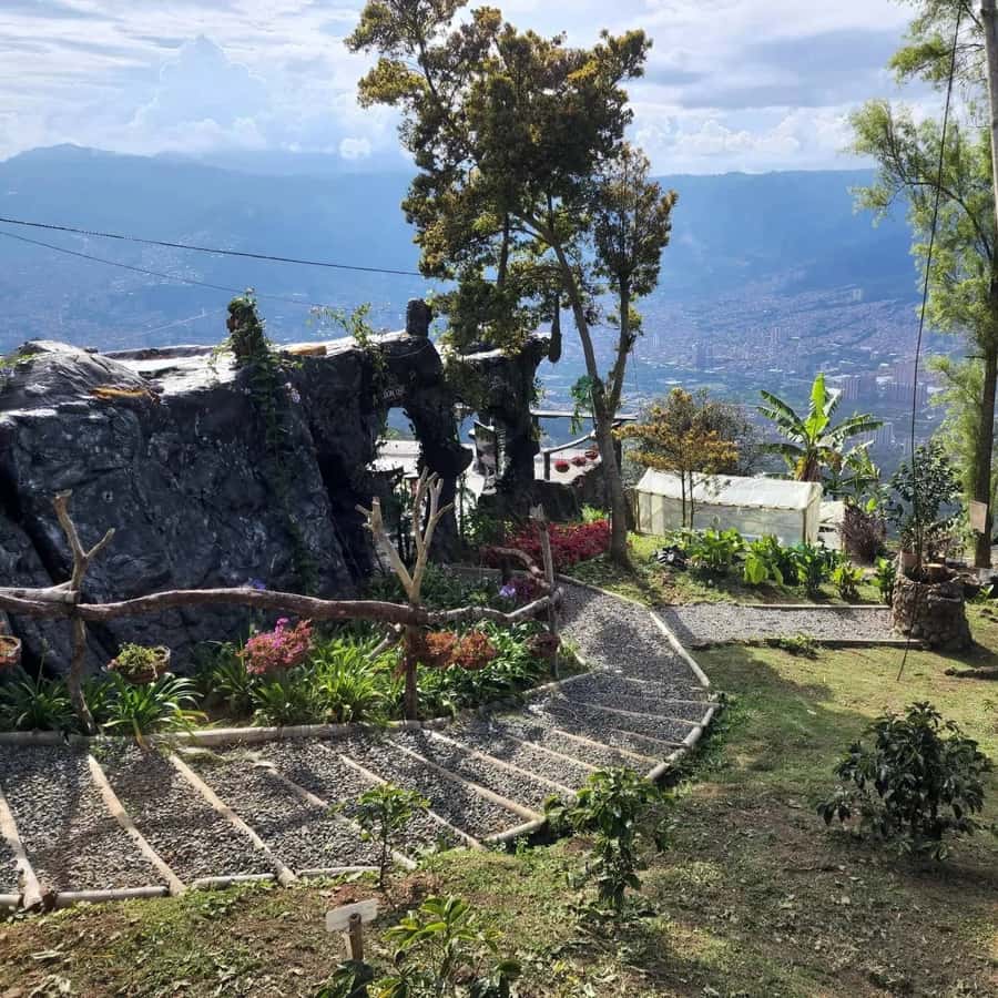 Medellin: Coffee Farm and Barista Workshop Experience - Coffee knowledge with a farm connection